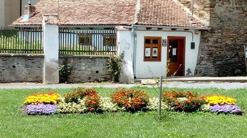 Modelul Vecinătăţii Femeilor din Saschiz, de dezvoltare a satelor prin promovarea valorilor locale, se extinde în comunele din apropierea Sighișoarei