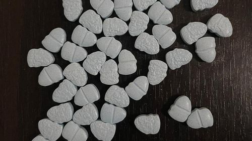 Mii de comprimate de ecstasy ascunse în hrană pentru câini, aduse de doi traficanţi din Olanda