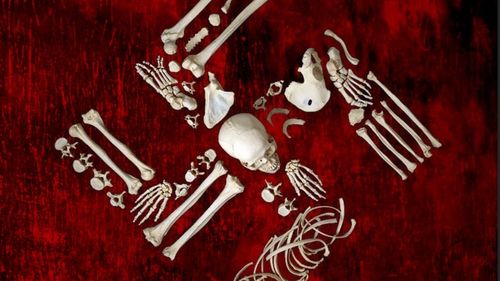 Recomandare de lectură: Rudolf Höss, „Comandant la Auschwitz”, autobiografia unuia dintre cei mai mari criminali ai omenirii