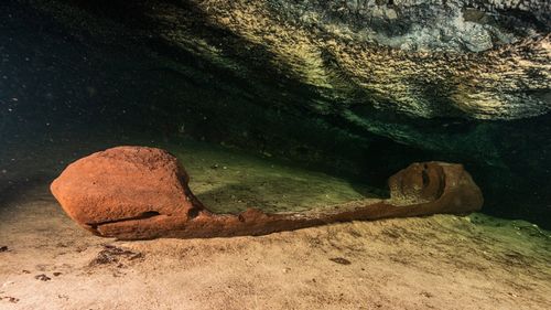 O canoe mayaşă, înconjurată de oseminte de oameni şi animale, descoperită într-o peșteră subacvatică din Mexic / Arheologii consideră că ar fi fost folosită pentru un ritual de „trecere spre lumea de dincolo”