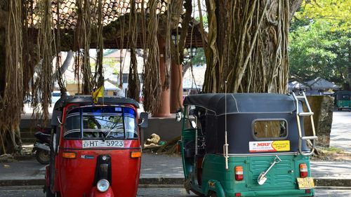 Noua tendință în turismul din Sri Lanka: vizitatorii închiriază tuk-tuk-uri direct de la localnici pentru a vizita peisajele zonei