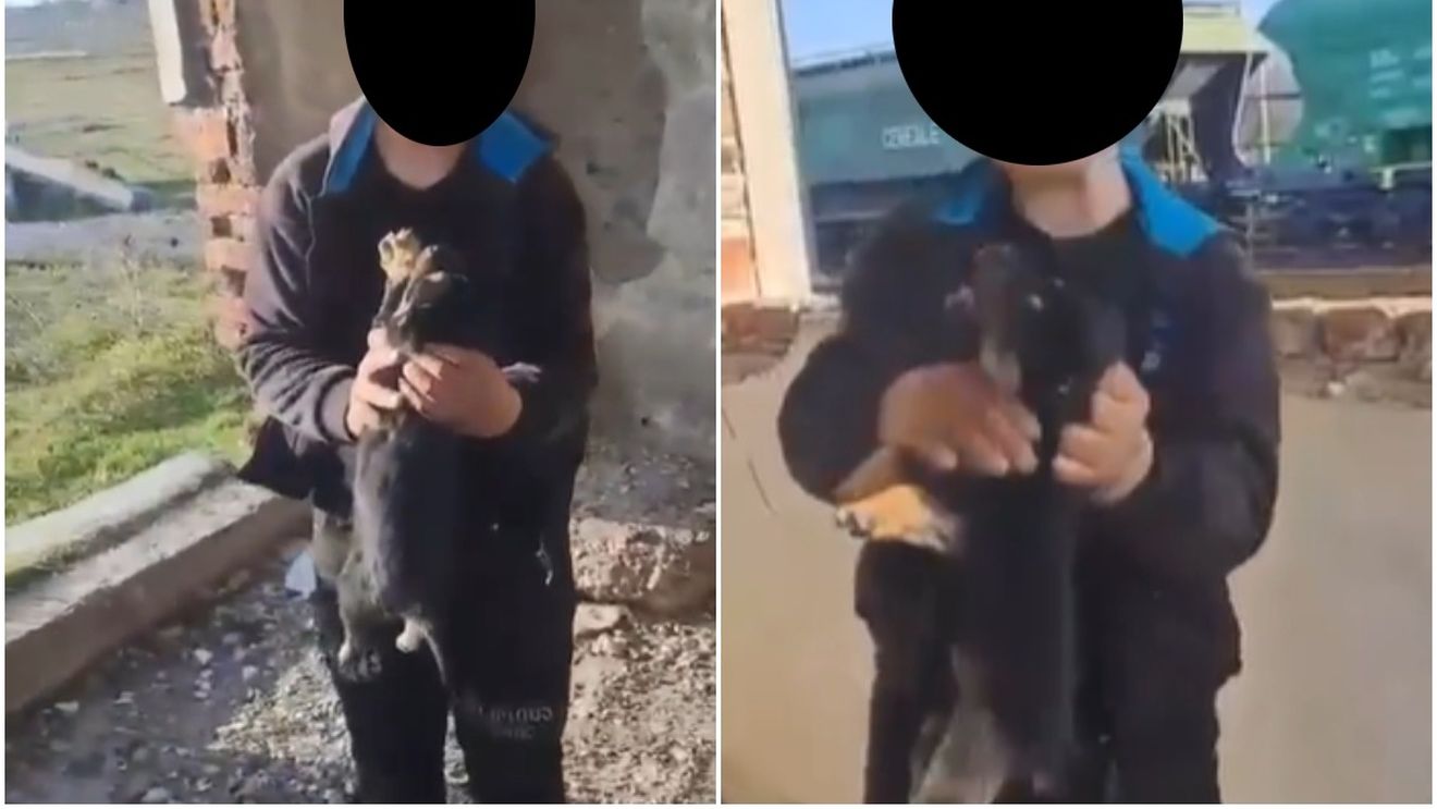INTERVIU EXCLUSIV | De unde începe violența față de animale. Copiii, cei mai expuși riscului de paralizie emoțională, avertizează psihologii: „Nu mai au reacție la suferință și ajung adulți fără empatie”