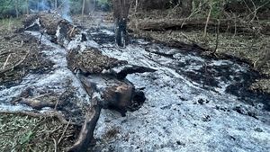 RO-Alert în Tulcea după ce bucăți de dronă au căzut în localitatea tulceană Plauru / Nu a fost identificată exact zona de impact / Au fost ridicate două aeronave F-16