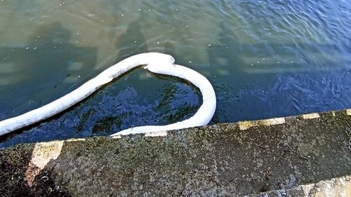 Scurgeri de hidrocarburi petroliere în Someşul Mic / Anchetă pentru identificarea sursei poluării