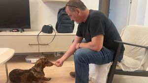 REPORTAJ Educație canină. Lecția valabilă pentru toți câinii, predată lui Winston, un teckel în vârstă de 3 ani, acasă la bloc: cea mai mare recompensă este stăpânul însuși