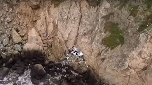 VIDEO Operațiune dramatică de salvare, după ce o mașină Tesla a căzut aproape 80 de metri de pe o stâncă din California
