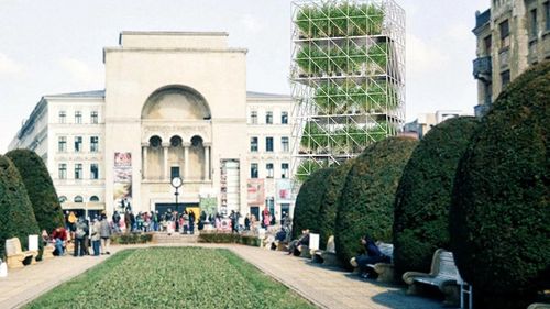 Grădina verticală din Piața Victoriei, cel mai vizitat loc al Timișoarei: peste 150 de mii de persoane au ajuns aici, de la începutul anului