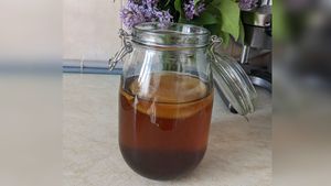 Cum am preparat acasă prima mea kombucha, la costuri foarte mici / Băutura oferă beneficiile postului intermitent, dar fără înfometare, potrivit unui studiu recent