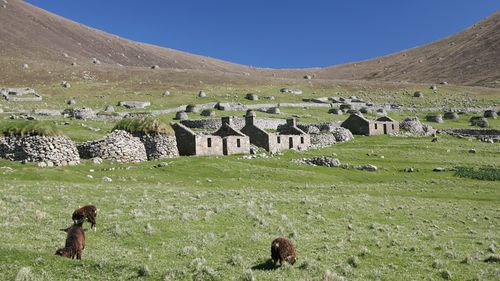Un arhipelag abandonat de oameni în urmă cu 90 de ani a devenit un paradis al drumeților