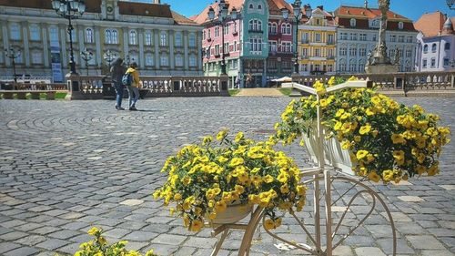 Consiliul Județean Timiș anunță că vor dispărea aproape 800 de posturi / Se va face o economie în buget de aproximativ 100 de milioane de lei / Foarte mulți sunt paznici: „Vom externaliza și vom contracta firme specializate care știu să facă asta”