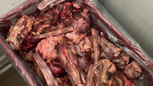 Protecția Consumatorilor propune închiderea Halei Obor, aflată lângă Piața Obor, pe o perioadă între 6 și 12 luni pentru abateri repetate: "Lipsa flagrantă de curățenie și siguranță trebuie oprită aici"