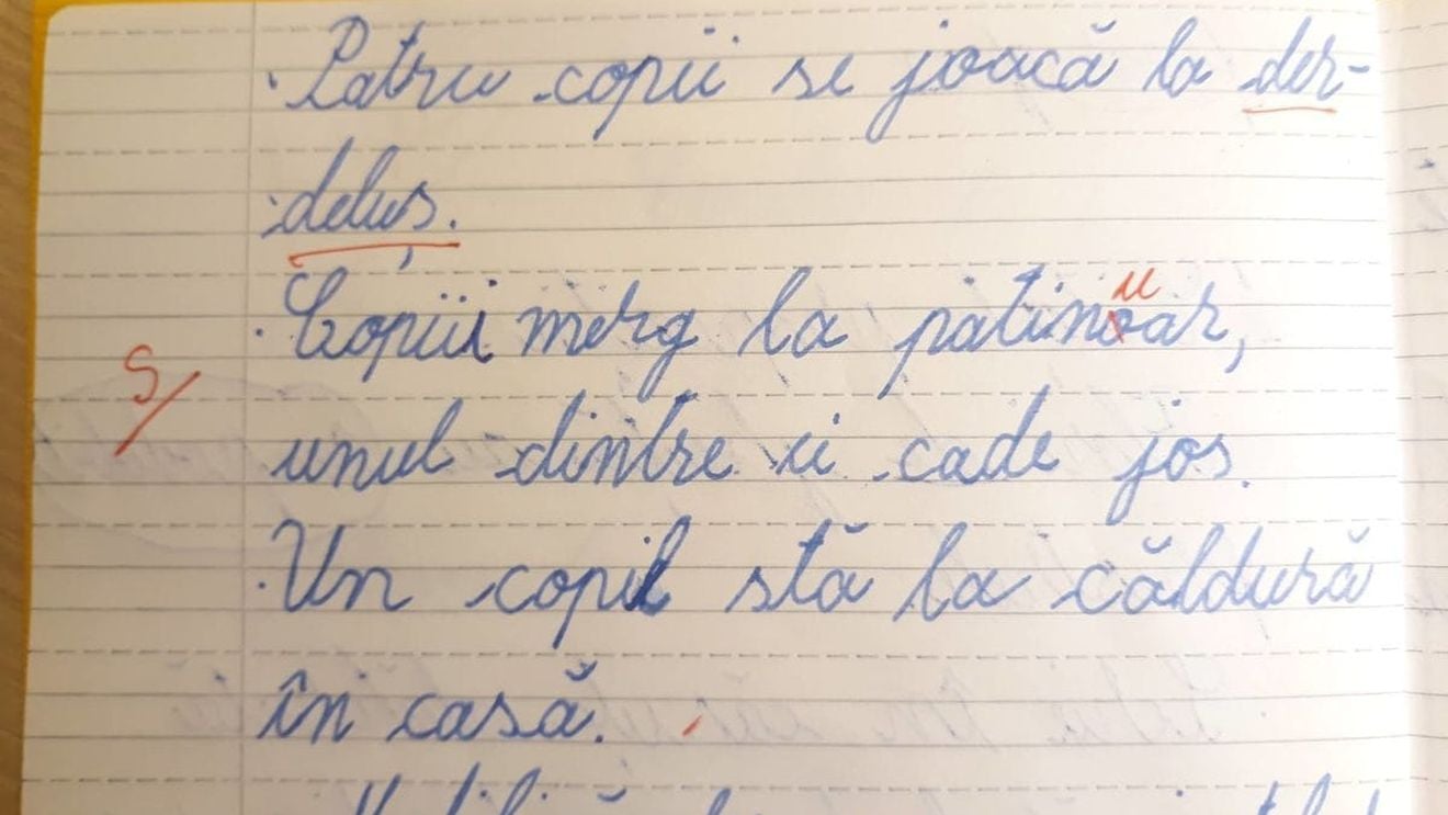 Învățătorul de la Iași care a corectat greșit o lucrare să fie trimis într-un program de evaluare – anunță Andronescu