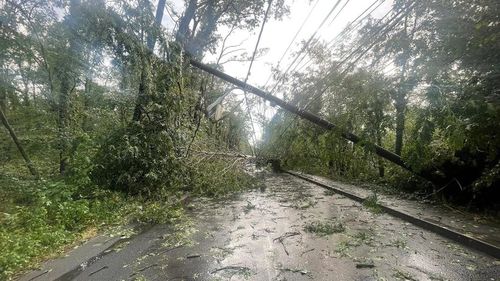 Cartierul Greenfield din București, blocat de copaci şi stâlpi căzuţi în urma furtunii / E singurul drum de acces în cartier