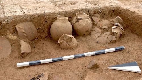 Vin distilat cu o vechime de peste 3.000 de ani, descoperit în estul Chinei