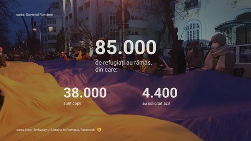 VIDEOGRAFIC Ce spun cifrele despre situația refugiaților din Ucraina, după 8 luni de război