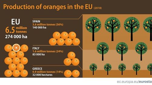 Aproximativ 6,5 milioane de tone de portocale au fost recoltate în Uniunea Europeană într-un an