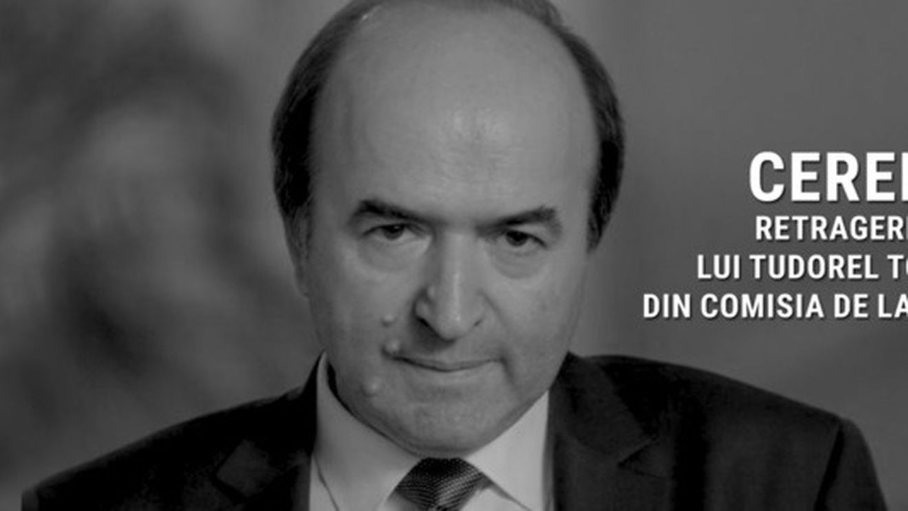 Două organizații civice depun vineri la guvern peste 10.000 de semnături pentru retragerea lui Tudorel Toader din Comisia de la Veneția