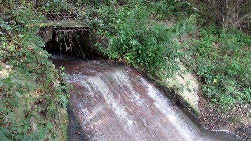 Croația: „Râul supermicrobilor” declanșează un scandal în industria farmaceutică