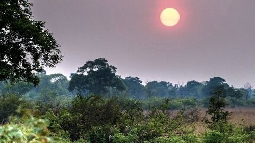 O jucătoare în vârstă de 24 de ani din Zambia a murit în timpul cantonamentului pentru meciuri de calificare la Jocurile Olimpice. Ea era suspectă de malarie