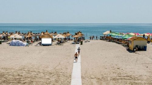 USR: E definitiv: legea care permite accesul cu animale de companie pe plajele de la Marea Neagră a fost promulgată. Punguţa, lesa şi hamul se află printre condiţiile accesului