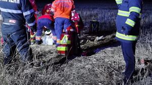 VIDEO Planul roșu de Intervenție în Teleorman, după un accident rutier soldat cu opt victime, dintre care două au murit  / În accident au fost implicate o mașină și o căruță