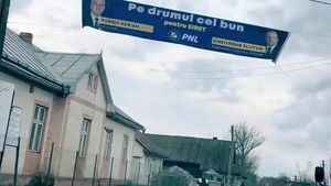 Sarea și piperul de campanie / Un afiș cu ”PNL pe drumul cel bun” atârnat pe un drum de țară a devenit viral