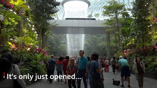 VIDEO Cel mai bun aeroport din lume: mulți oameni vin doar pentru a-și petrece timpul liber aici / Printre atracții sunt o pădure tropicală, o expoziție cu dinozauri în mărime naturală, un labirint din gard viu și un tobogan de 12 m înălțime