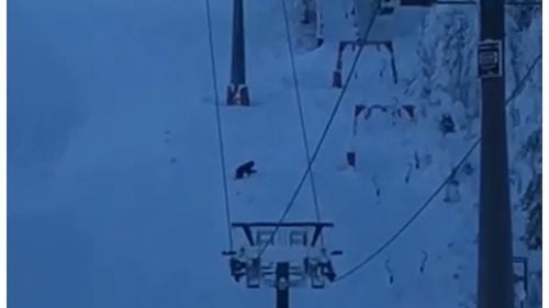 De sâmbătă se poate schia şi pe nocturnă pe pârtiile Lupului inferior și Drumul albastru, în Poiana Braşov / În ultimele două săptămâni, în care s-au înregistrat aproape 350 de mii de treceri prin turnichete