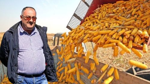 Un produs revoluționar preia azotul atmosferic și îl transformă în azot amoniacal, formă ușor asimilabilă de către plantă / Mihai Buda (fermier): „Nu este doar un supliment, ci un instrument strategic. Ne ajută să producem mai mult cu mai puțin”