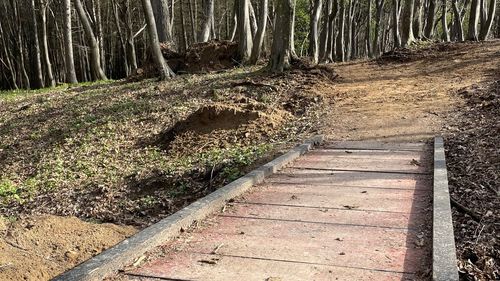Premieră la Cluj: traseu turistic adaptat persoanelor cu dizabilități, inaugurat în Pădurea Făget / ”Ne dorim ca natura să fie accesibilă fiecăruia”