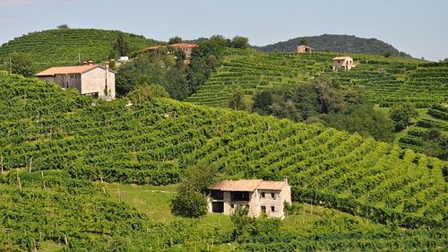 28 de mii de euro pentru cei care vor să se stabilească în sudul Italiei. Nouă localități s-au înscris în proiectul finanțat cu 700 de mii de euro