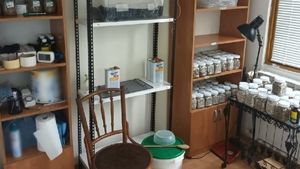 Procurori: Laborator de cultivare și prelucrare de droguri de mare risc descoperit în București și scos din funcțiune / Un bărbat a fost arestat preventiv