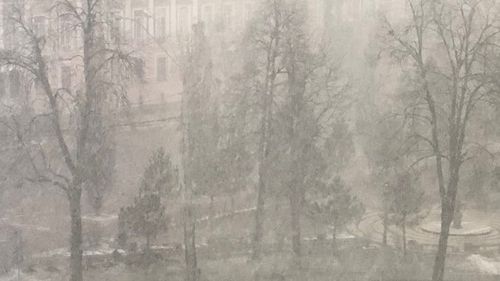 Temperaturile în Ucraina scad până la minus 20°C în următoarele zile