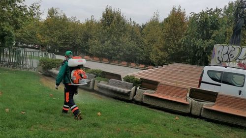 Angajaţii Companiei Municipale Eco Igienizare, în pragul protestului. Nu au mai primit salariile din decembrie, iar activitatea este blocată