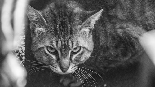 A fi asertiv nu înseamnă a fi dur. Cum să comunici nevoile și limitele fără să-i rănești pe ceilalți în comunicare