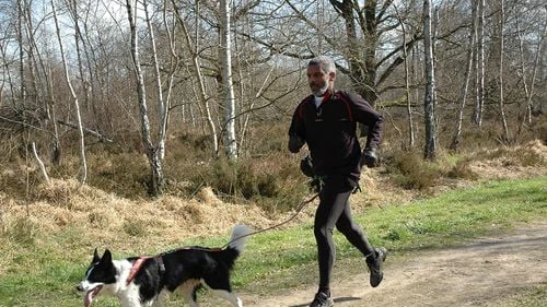 Trei câini au murit otrăviţi la finala campionatului Franţei de canicross/ Otrava a fost ascunsă în chiftele