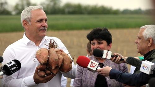 Dragnea, despre scrisoarea Comisiei Europene prin care Guvernul este avertizat cu Activarea articolului 7: Corina Creţu, care candidează pentru formaţiune politică de securişti, a votat împotriva României