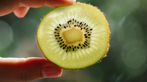 Un producător de smochine din România produce și kiwi: „Soția nu mi-a mai dat pace” / „S-a cam umplut țara de smochini”