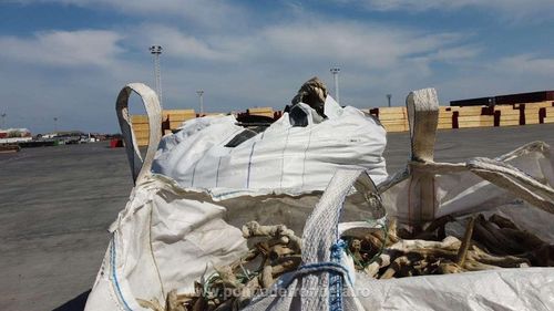 Un container din Portugalia încărcat cu deșeuri, descoperit în Portul Constanţa Sud Agigea