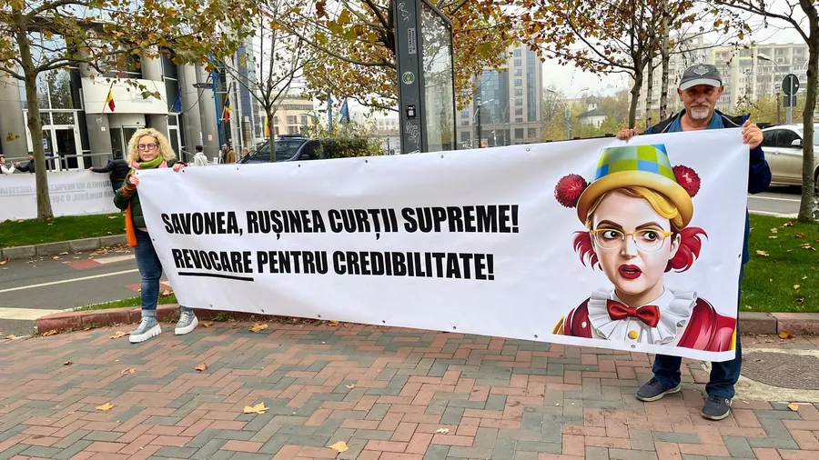 protest organizații civice Înalta Curte