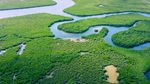 Incendiile din Amazonia braziliană, la cel mai scăzut nivel din ultimii 40 de ani