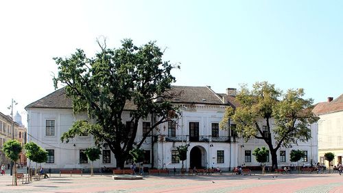 O clădire emblematică a Timișoarei, ajunsă în paragină, va fi transformată în Muzeul Revoluției din Decembrie 1989