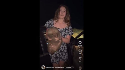 Influencerul american care a răpit un pui de wombat a părăsit Australia