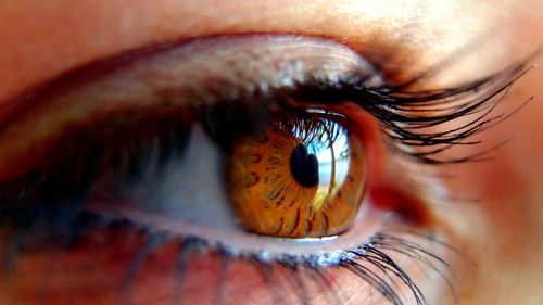 Cum previi oboseala oculară în era digitală și ce să mănânci ca să vezi bine / Medic: Nu există „timp perfect sigur” în care să ne uităm în ecrane