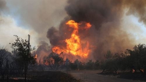 Un incendiu de vegetație uscată a izbucnit în Voluntari/ Flăcările au ars cel puțin 10 hectare
