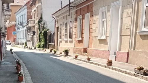 FOTO Locuitorii unei străzi din Oradea au montat jardiniere cu flori pentru a împiedica maşinile să urce pe trotuar