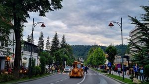 Mesaj RO-Alert în Sinaia: A fost semnalată prezența unui urs pe o stradă înconjurată de vile turistice/ Alerta este considerată ”extremă”
