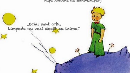 "Micul prinţ", un spectacol reuşit pe care l-a stricat finalul. Ghid despre cum să nu îţi jigneşti publicul