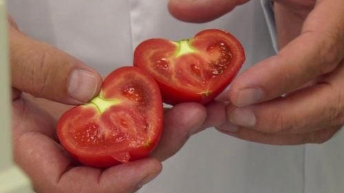 Adevărul: Cum forţează agricultorii români coacerea legumelor de bază. Cercetător: Când tăiem roşia, vedem că avem un cep lemnos