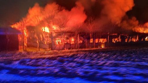 5.000 de porci au murit într-un incendiu la o fermă din Suceava / Niciun animal din fermă nu a mai putut fi salvat